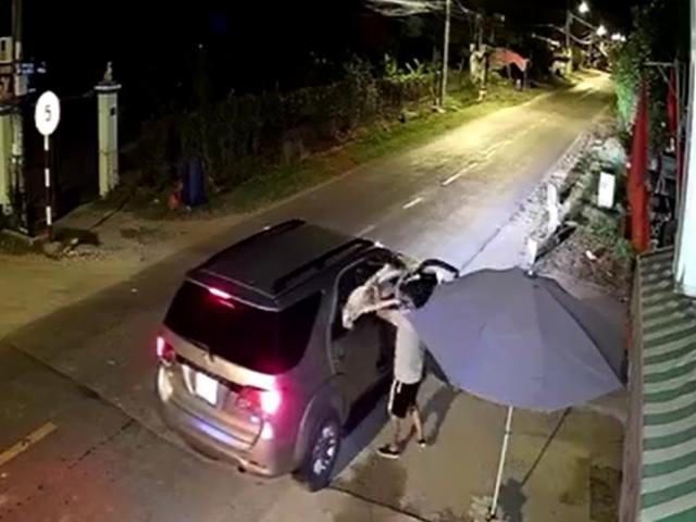 Clip: Nhóm “cẩu tặc” đi ô tô dùng súng điện bắn trộm chó chỉ trong 10 giây