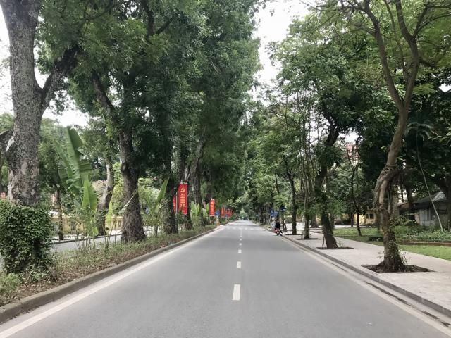 Vẻ tĩnh lặng, đẹp dịu dàng rất lạ của đường phố Hà Nội, TP.HCM sáng đầu năm mới