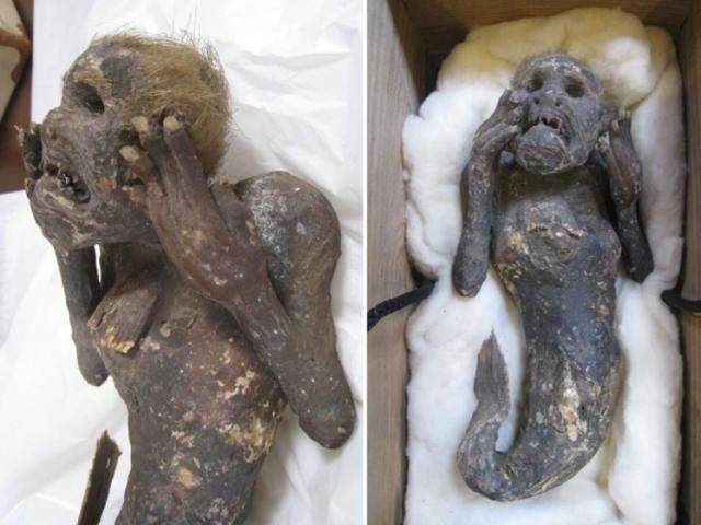Bí ẩn xác ướp "nàng tiên cá" bị đồn ăn vào bất tử ở Nhật Bản