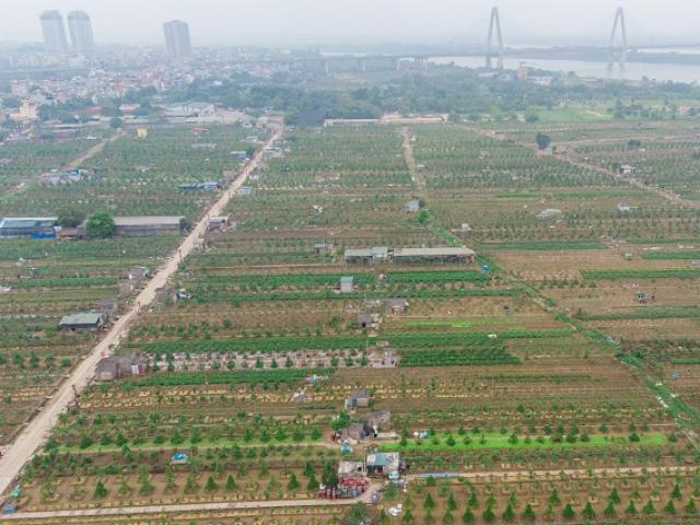 Hà Nội: nghiên cứu làm bãi giữa sông Hồng thành công viên