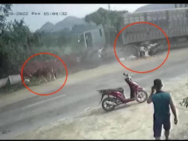 Clip: Điều khiển bò kéo xe bị ô tô tải tông kinh hoàng, nữ tài xế gặp “phép màu”