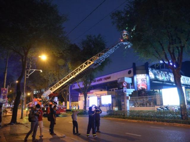Cảnh sát dùng vợt lưới bắt tổ ong vò vẽ “khổng lồ” ở trung tâm TP.HCM