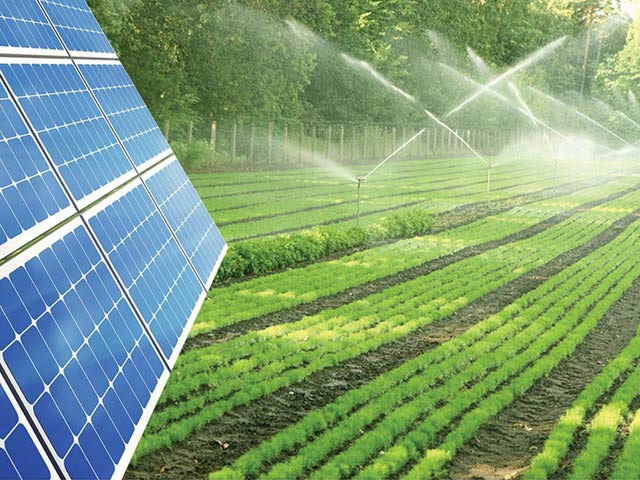 Việt Nam Solar mở ra kỷ nguyên mới với giải pháp điện mặt trời cho nông nghiệp