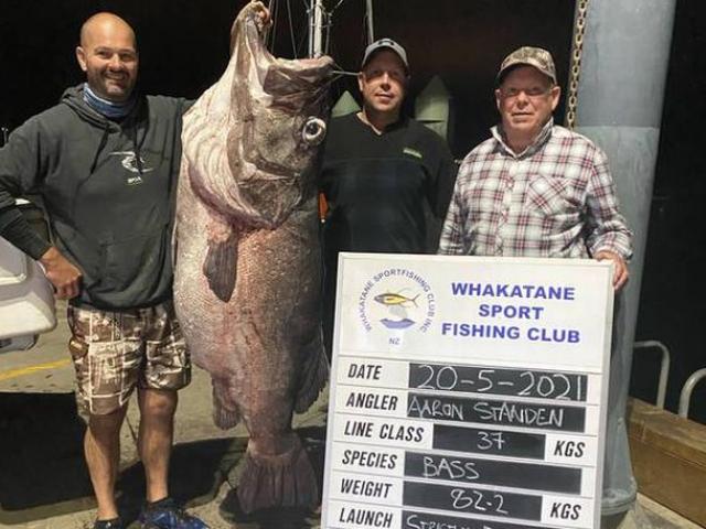 Ngư dân New Zealand câu được cá "quái vật" to lớn như người
