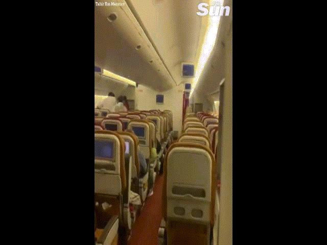 Video: Sốc với con vật bay trong khoang hành khách máy bay khởi hành từ Ấn Độ