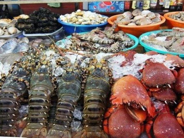 Những món hải sản "nhà giàu" ở các vùng biển đảo Việt Nam