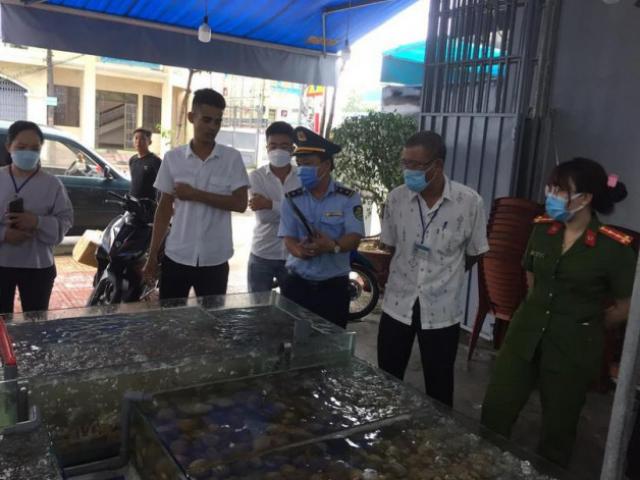 Tin tức 24h: Kết quả xác minh vụ du khách tố bị “chặt chém” 42,5 triệu khi ăn hải sản ở Nha Trang