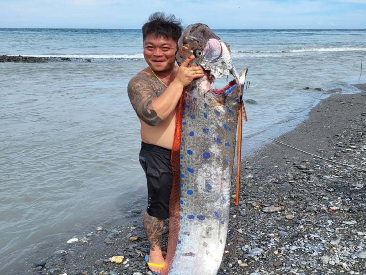 Đài Loan: Cần câu bất ngờ cong vút, ngư dân chật vật lôi &quot;rồng biển&quot; 6 mét lên bờ