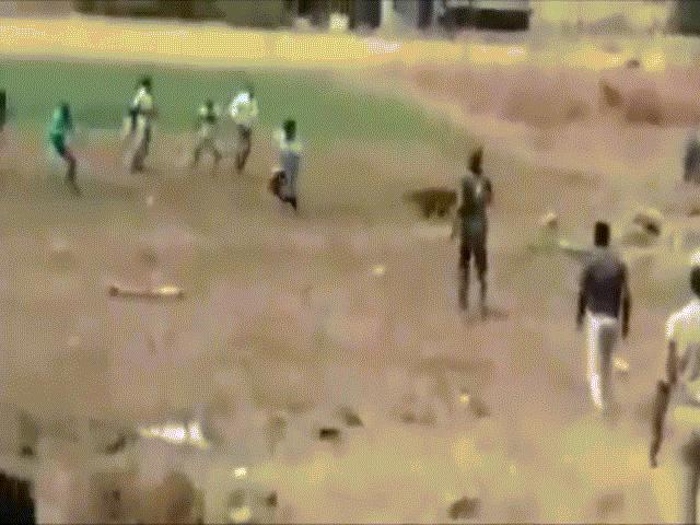 Clouded leopards rush to bite many people because they are surrounded