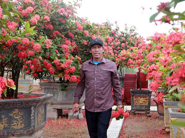Cây hoa mẫu đơn đẹp nhất Việt Nam là loại cây nào?