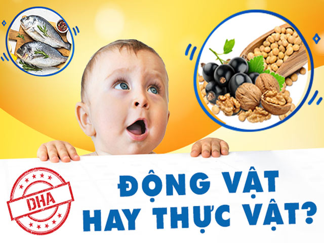 Mẹ cần biết: Sự thật không ngờ về DHA động vật và DHA thực vật