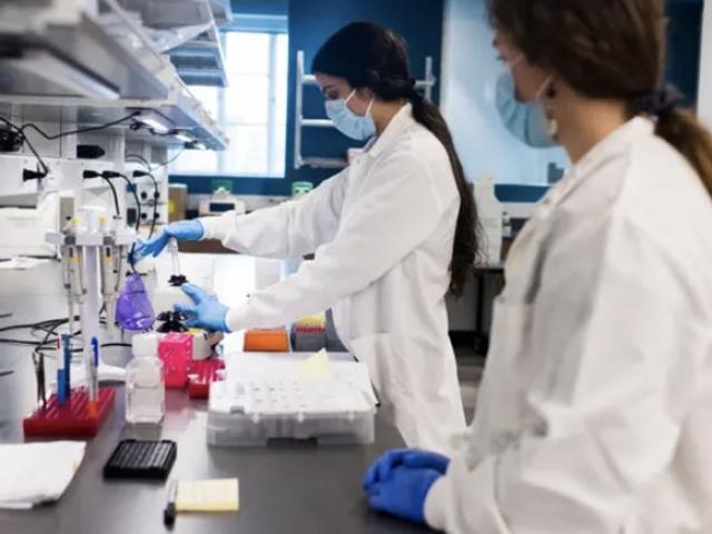 Phát hiện đột phá về kháng thể mới chống SARS-CoV-2 và nhiều loại virus Corona